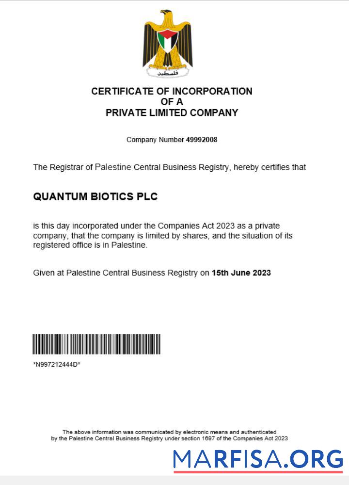 Realistic Palestine business registration certificate Word and PDF template